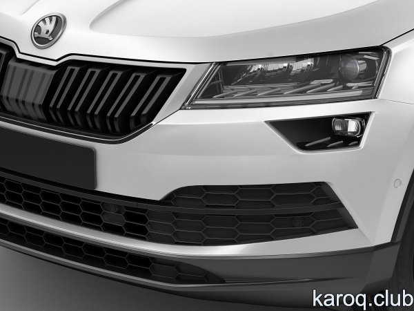 Решётка радиатора Skoda Karoq